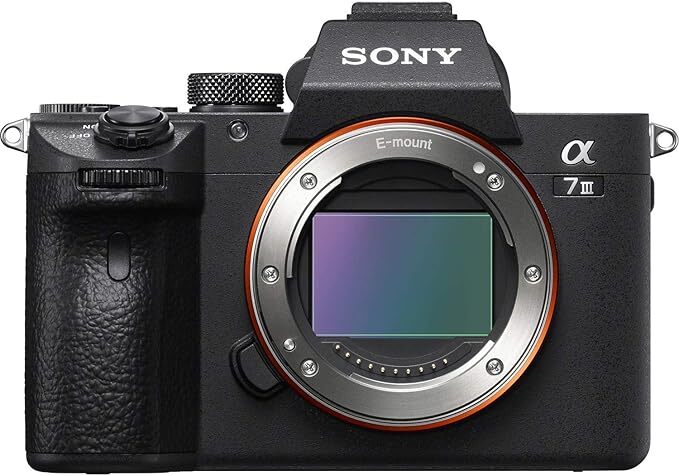 Sony A7 III camera body